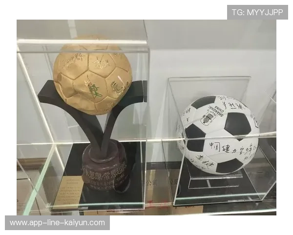 特色足球旅游资源深度融合,带动区域经济高速增长,足球特色园