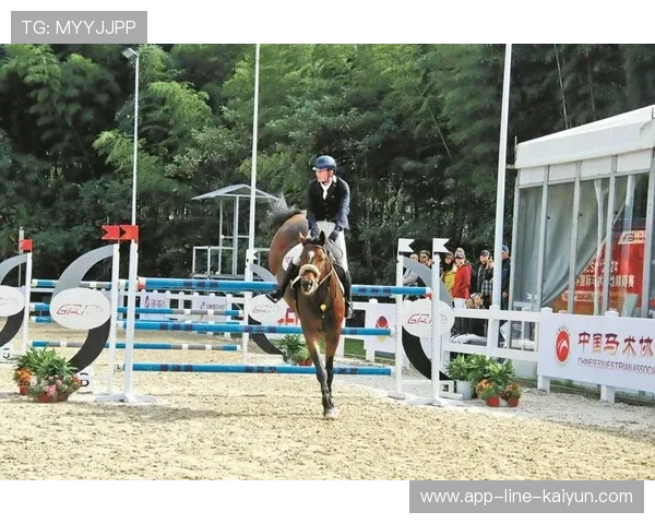 荷兰马术协会推出马术运动员职业发展规划,促进人才培养。,荷兰马术大师赛